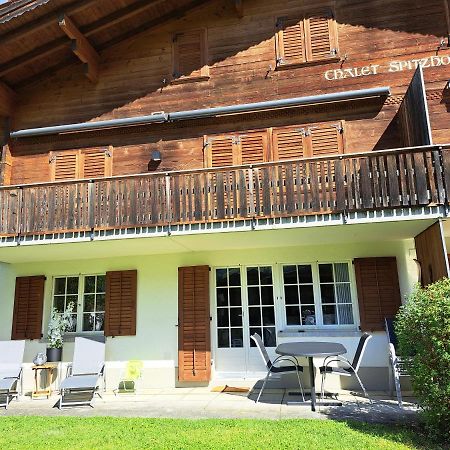 Chalet Spitzhorn - Your Peak Getaway - Private Terrasse & Gratis Parkplatz 그체이 외부 사진