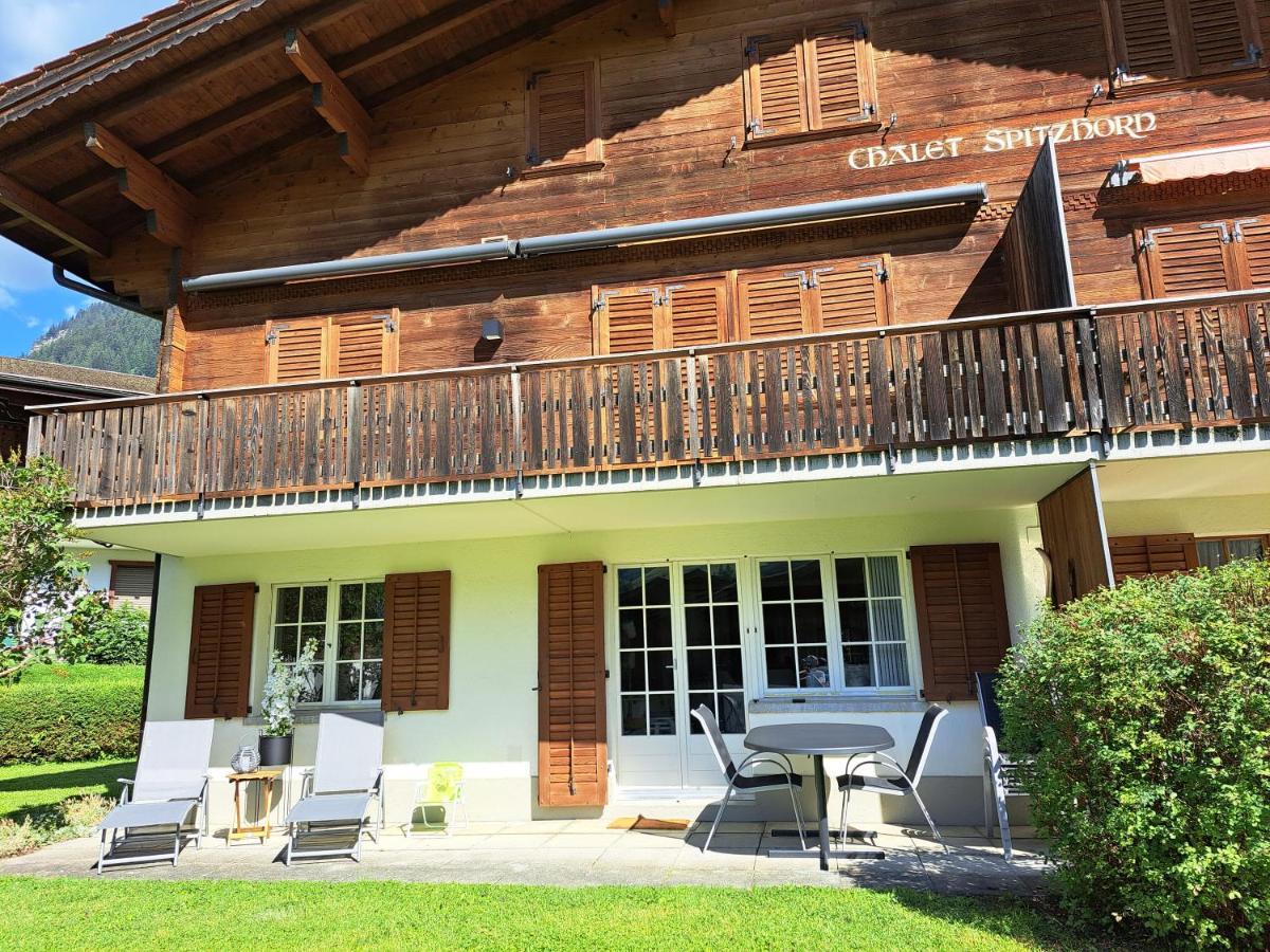 Chalet Spitzhorn - Your Peak Getaway - Private Terrasse & Gratis Parkplatz 그체이 외부 사진